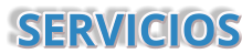 SERVICIOS